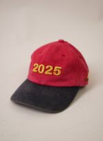 2025 Two-Tone Baseball Cap - view 1