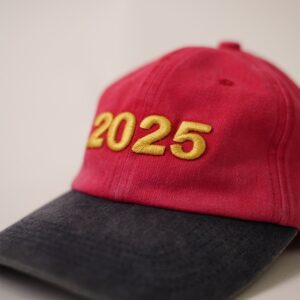 2025 Two-Tone Baseball Cap - view 2