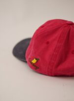 2025 Two-Tone Baseball Cap - view 4